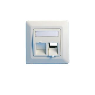 Wall plate, angled, double