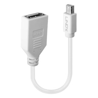Adapter Cable Mini-Dp (M)/Dp