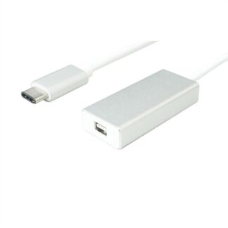 Usb 3.1 C - Mini Displayport