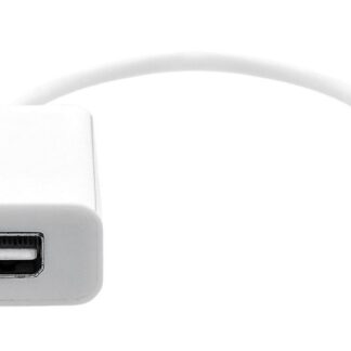 USB-C to Mini DP 20cm white