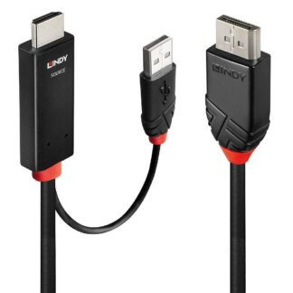 3m HDMI to DisplayPort Cable