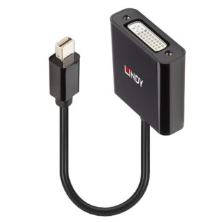 Mini DisplayPort to DVI